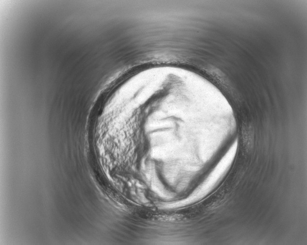 X0000056030488200509170040