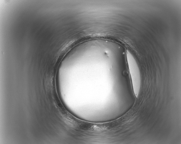 X0000056030491200509170040