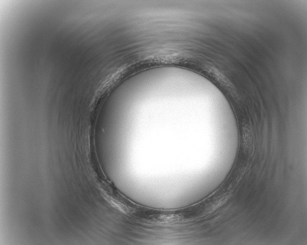 X0000056030493200509170040