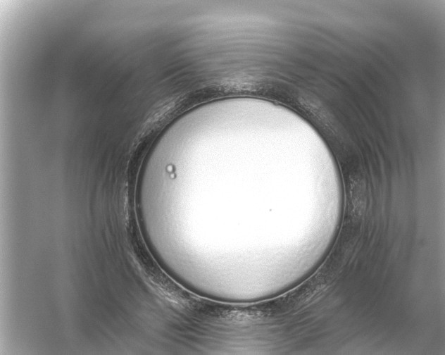 X0000056030494200509170040