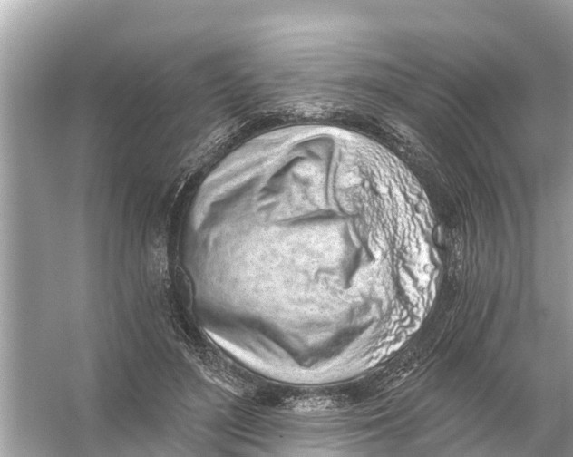 X0000056030500200509170040