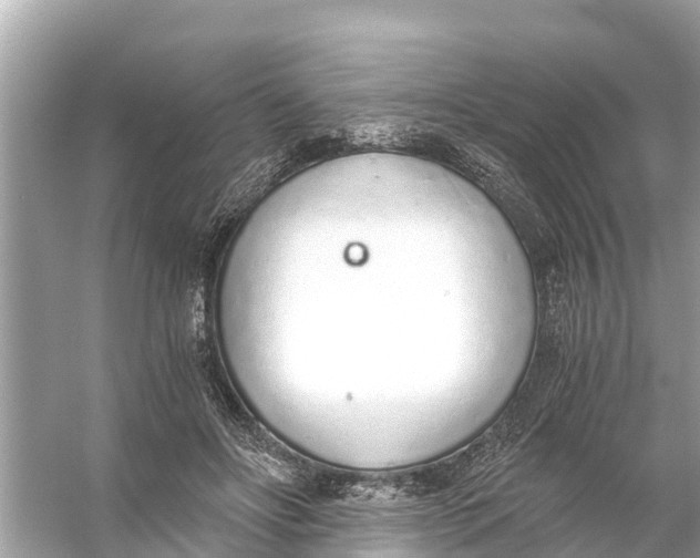 X0000056030502200509170040