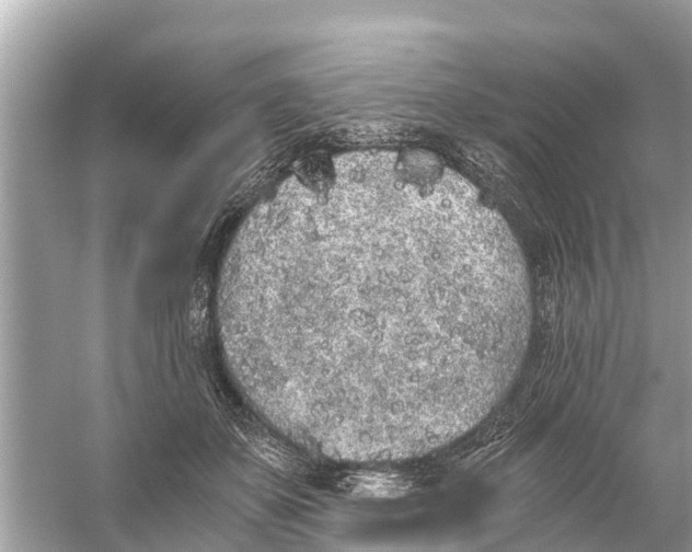 X0000056030507200509170040