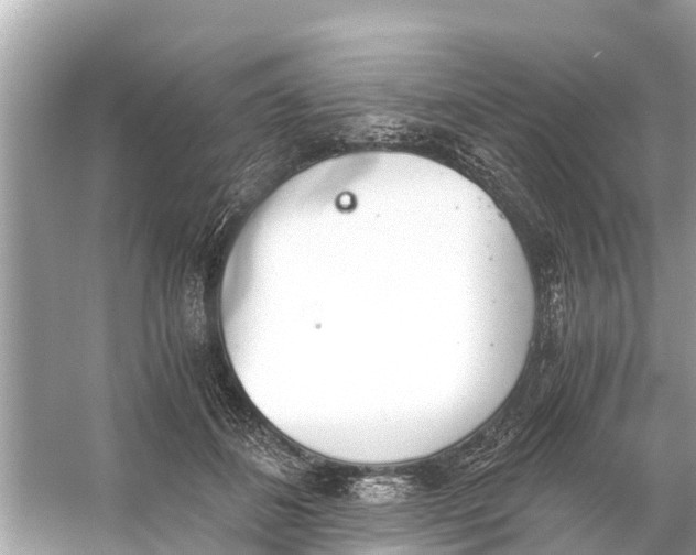 X0000056030508200509170040