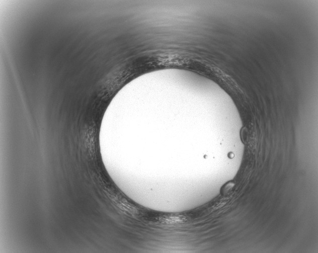 X0000056030513200509170040