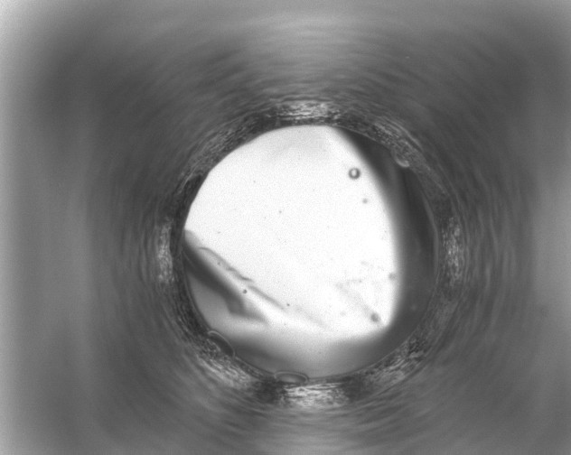 X0000056030516200509170040