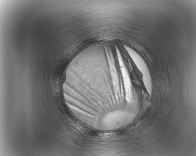 X0000056030517200509170040