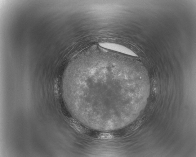 X0000056030519200509170040