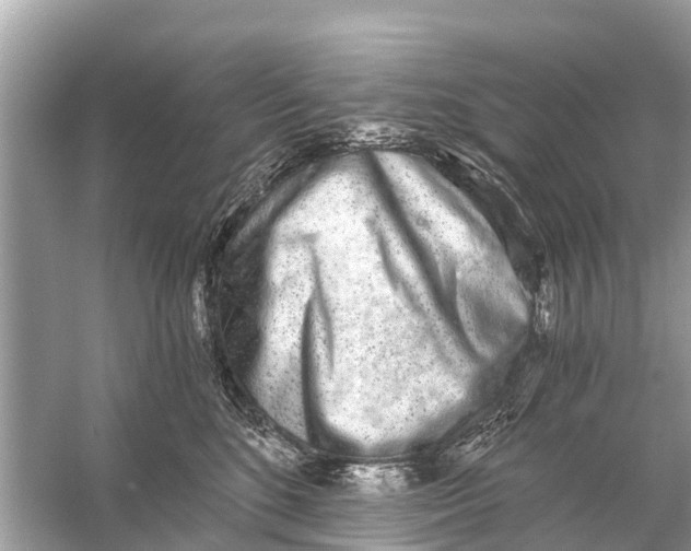 X0000056030520200509170040