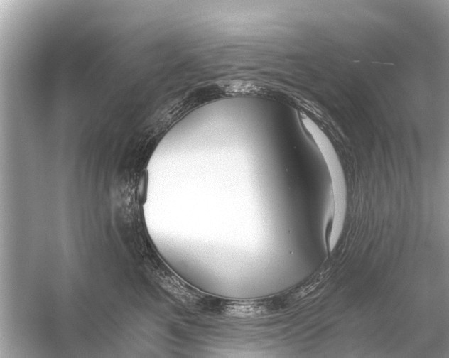 X0000056030521200509170040