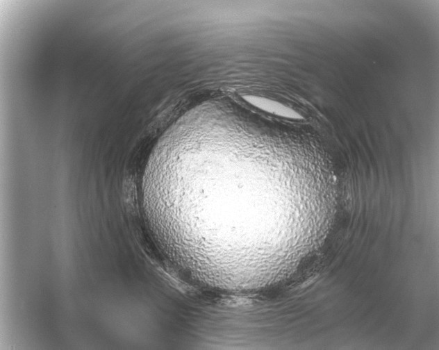 X0000056030523200509170040