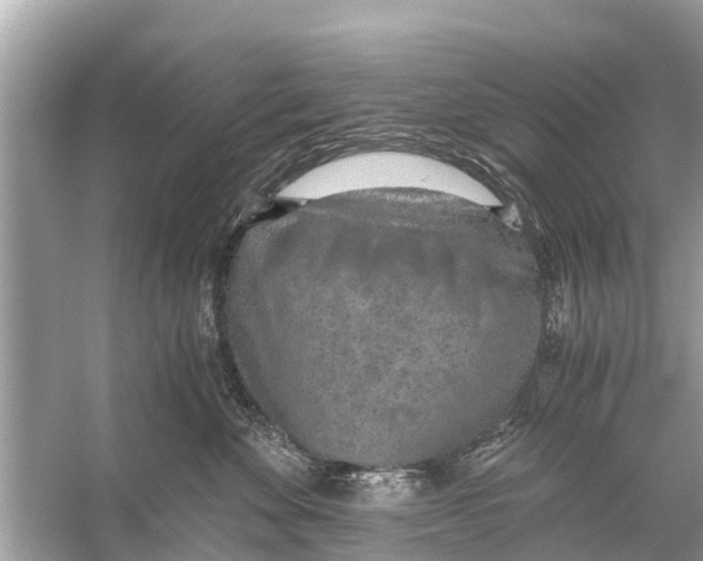 X0000056030524200509170040