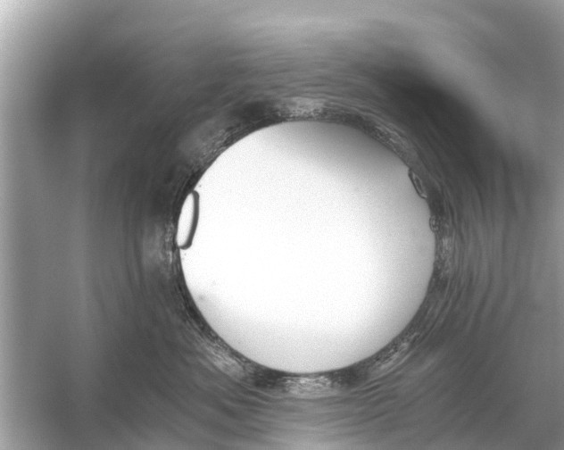 X0000056030525200509170040