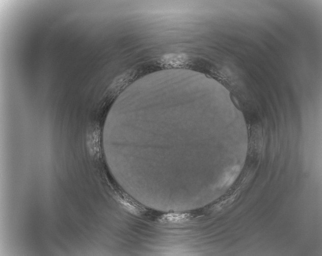 X0000056030526200509170040