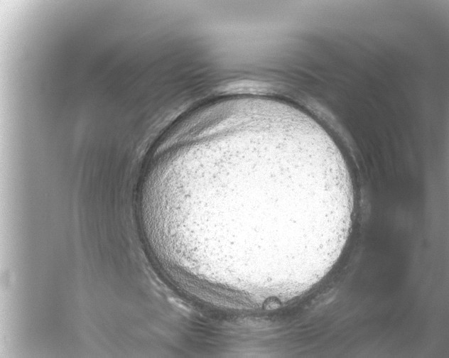 X0000056030529200509170039