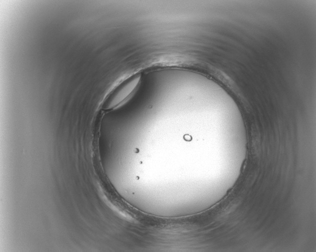 X0000056030530200509170039