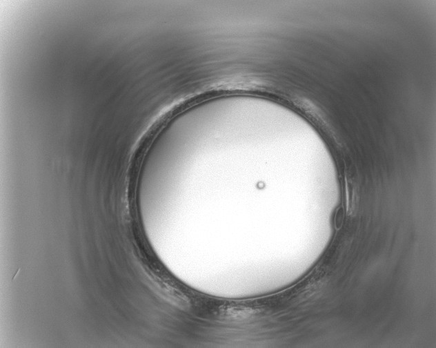 X0000056030531200509170039