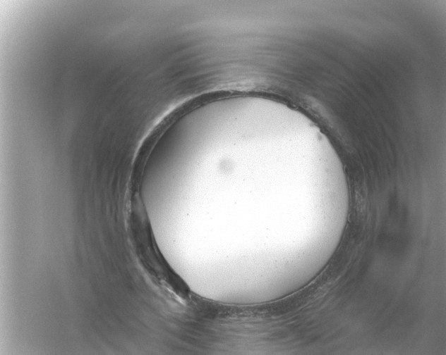 X0000056030532200509170039