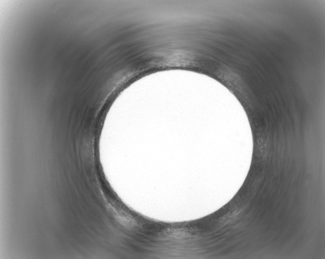 X0000056030534200509170039