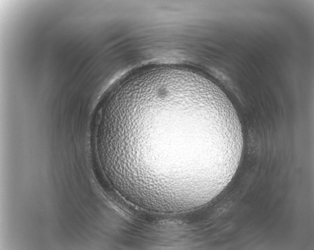 X0000056030535200509170039