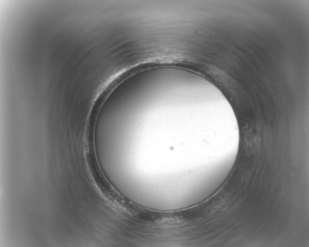 X0000056030536200509170039