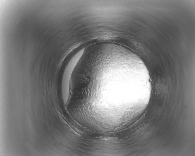 X0000056030539200509170039