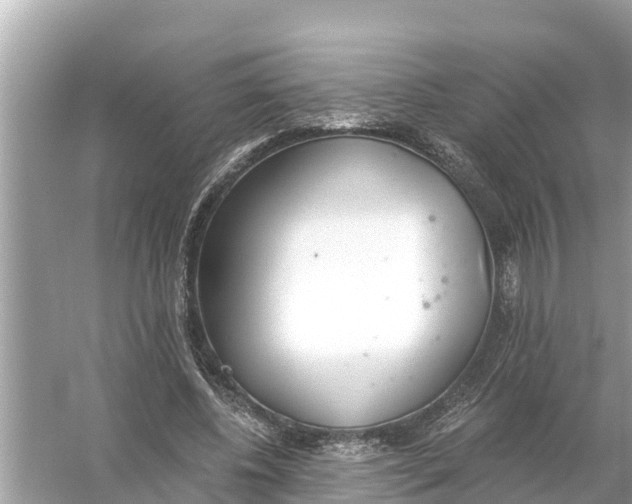 X0000056030540200509170039