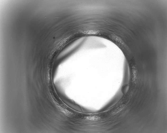 X0000056030541200509170039