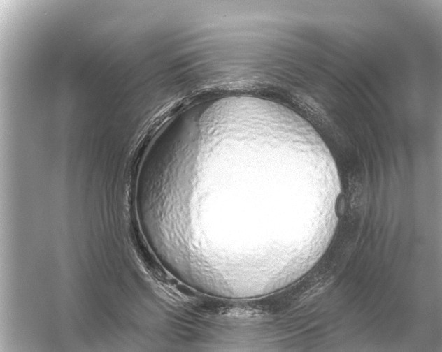 X0000056030542200509170039