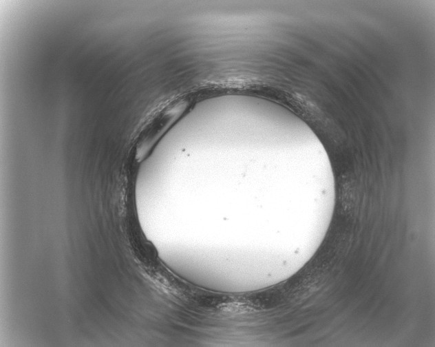 X0000056030544200509170039