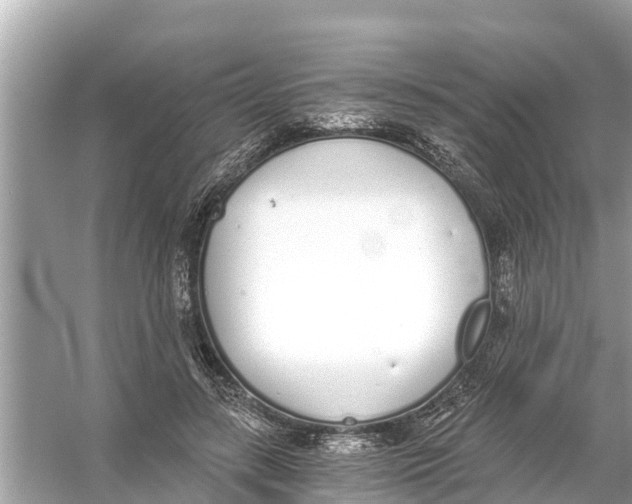 X0000056030547200509170039