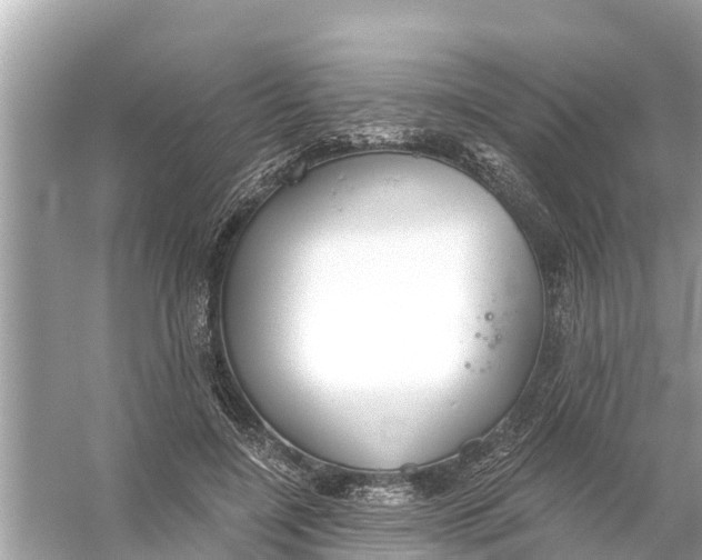 X0000056030548200509170039