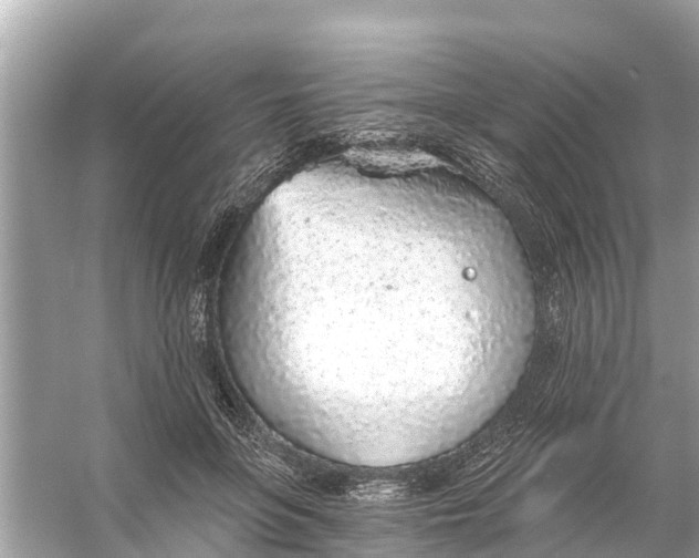 X0000056030551200509170039