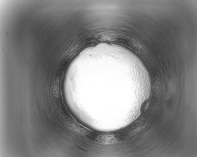 X0000056030554200509170039