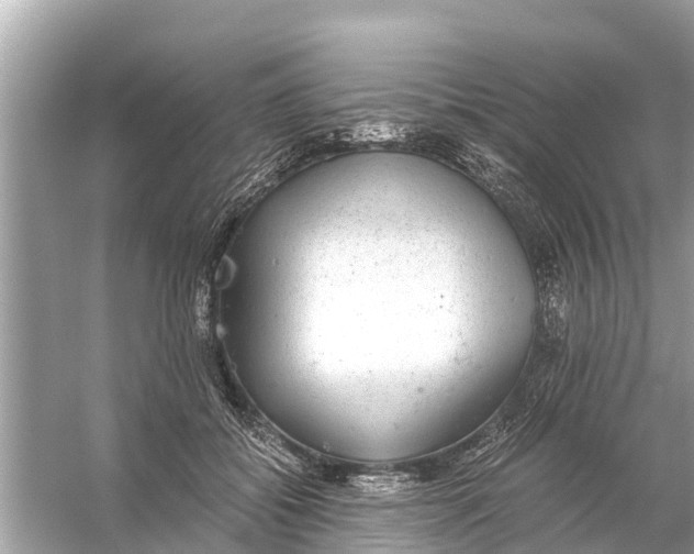 X0000056030556200509170039