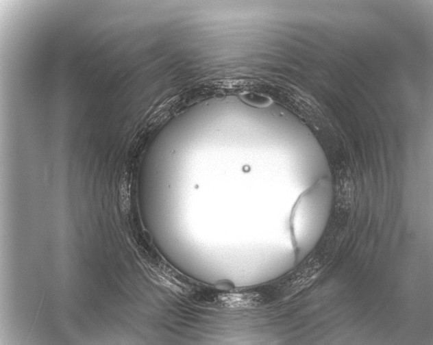 X0000056030558200509170039