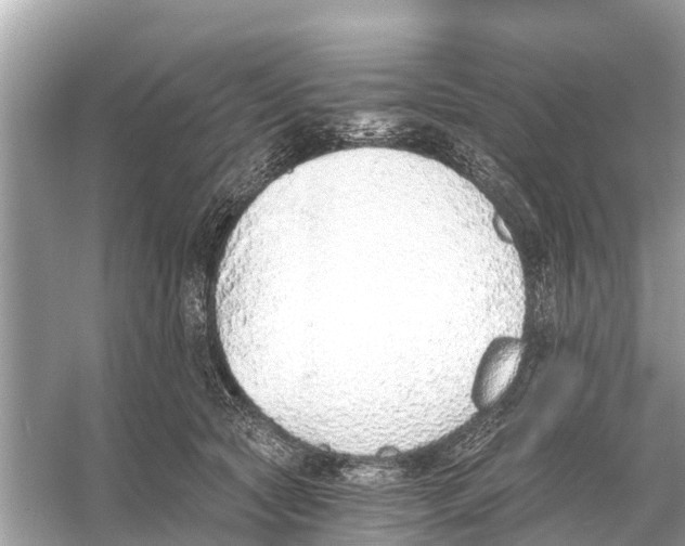 X0000056030561200509170039