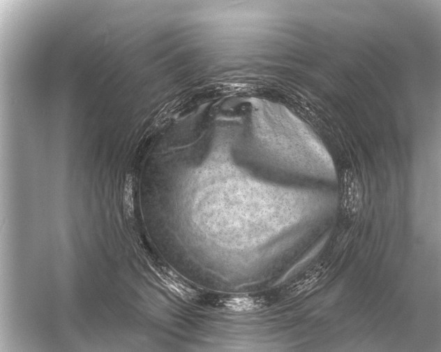 X0000056030562200509170039