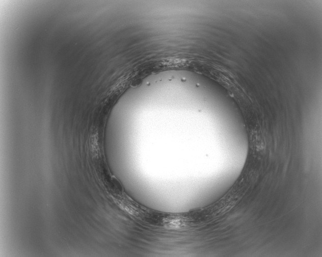 X0000056030564200509170039