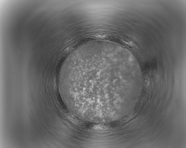 X0000056030568200509170039