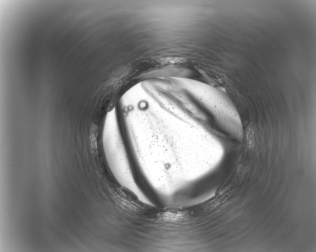 X0000056030570200509170039