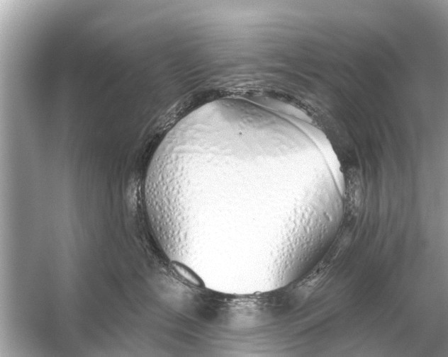 X0000056030574200509170039