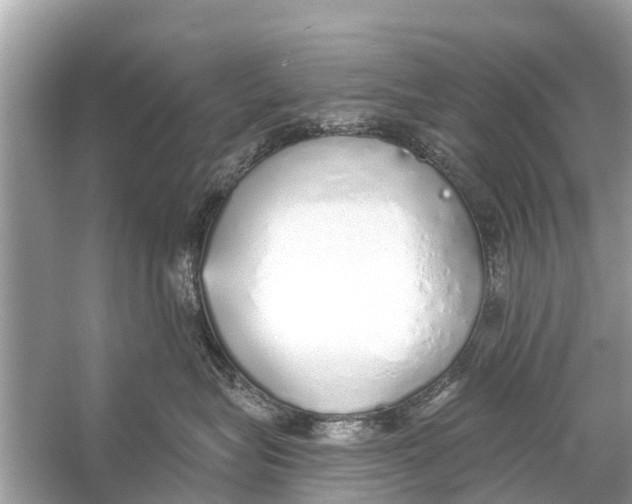 X0000056030575200509170040