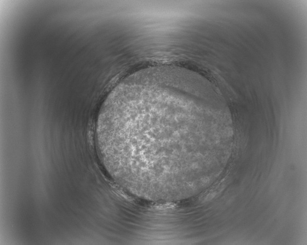 X0000056030576200509170040