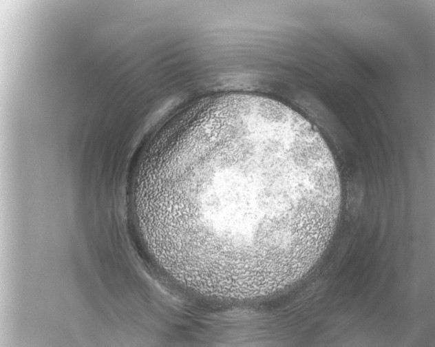 X0000056030578200509170039