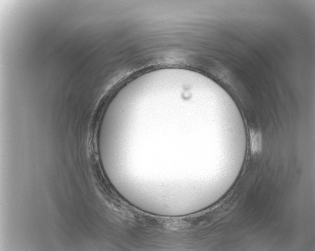 X0000056030579200509170039