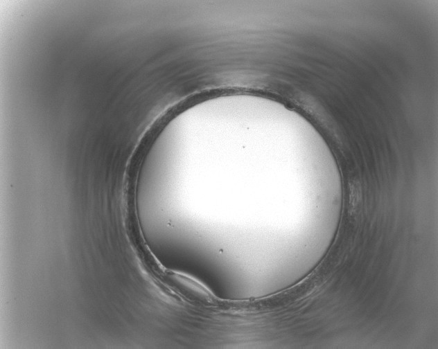 X0000056030580200509170039