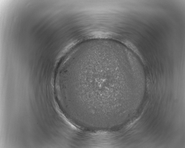 X0000056030581200509170039