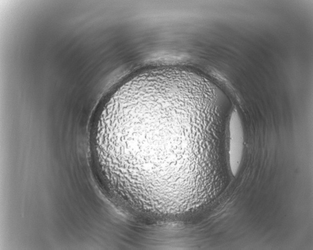 X0000056030582200509170039