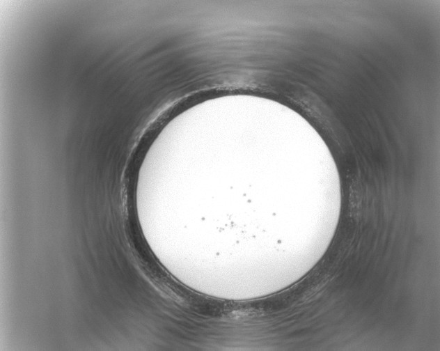 X0000056030584200509170039